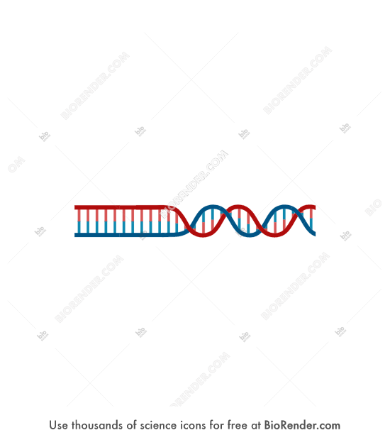 BioRender Life Science Icons