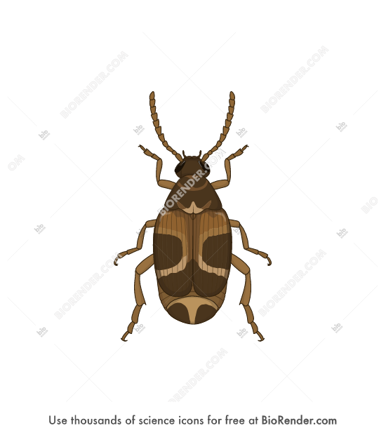 BioRender Life Science Icons