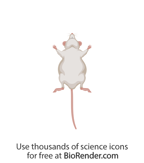 Biorender Life Science Icons