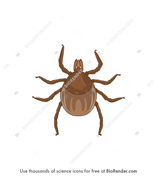 BioRender Life Science Icons