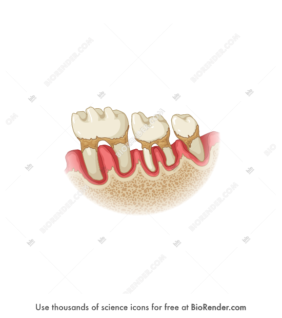 BioRender Life Science Icons