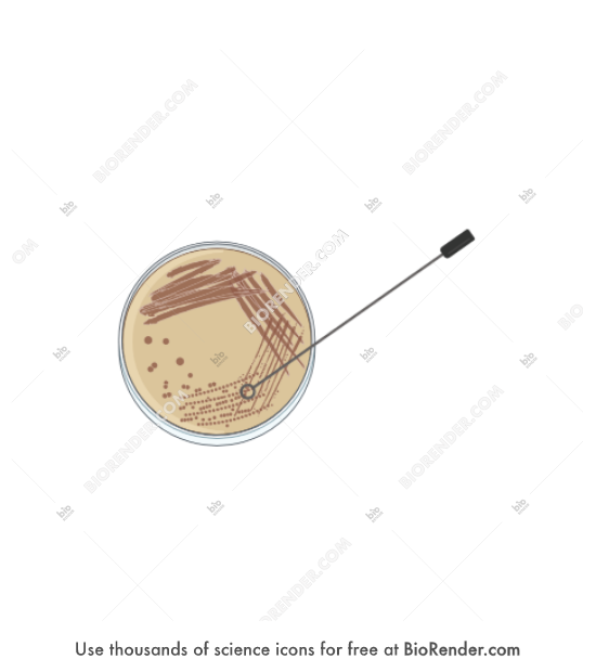 BioRender Life Science Icons