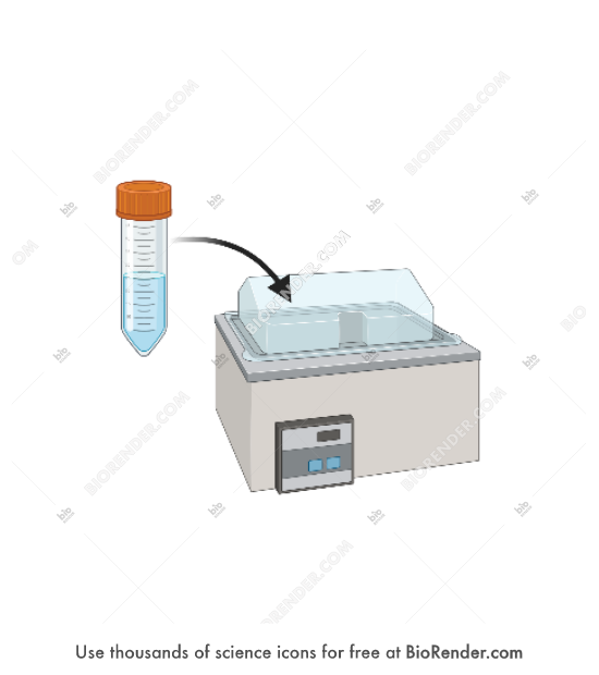 BioRender Life Science Icons