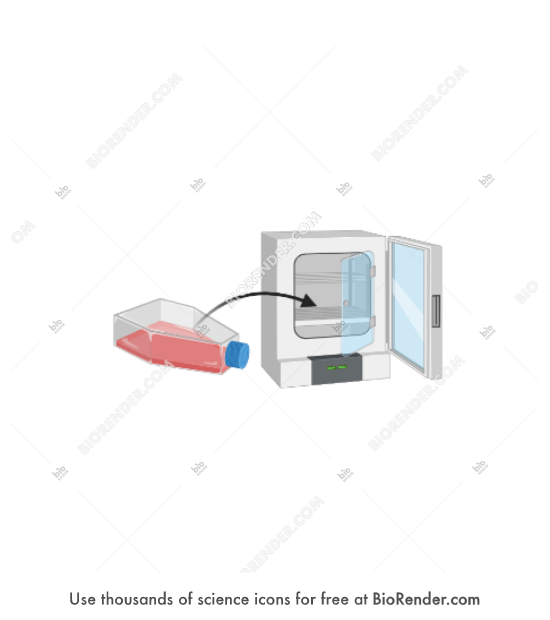 BioRender Life Science Icons